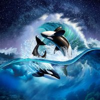 Orca Wave (Artwork)