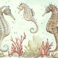 Seahorse Trio