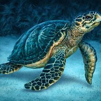 Sea Turtle (Artwork)