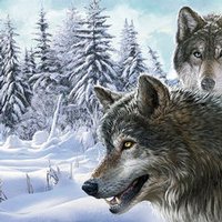 Microsoft Surface Book Skin - Snow Wolves (Image 2)