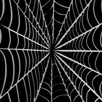 Sony PS4 Skin - Spiderweb (Image 3)