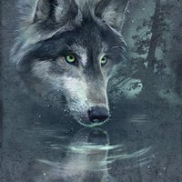 Wolf Reflection (Artwork)