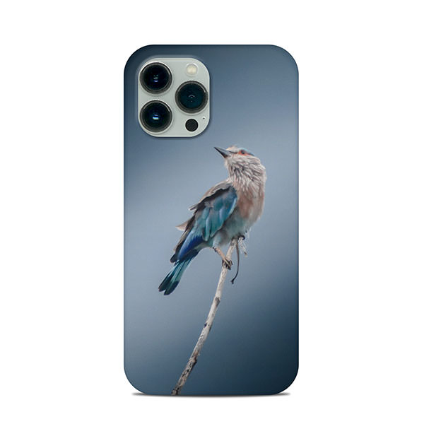Create A Custom Apple iPhone 13 Pro Max Clip Case