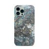 Apple iPhone 13 Pro Max Clip Case Skin - Gilded Glacier Marble (Image 1)