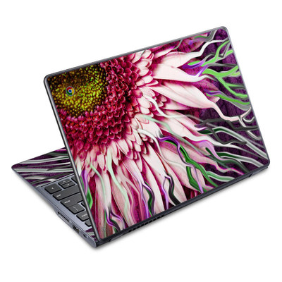 Acer Chromebook C720 Skin - Crazy Daisy