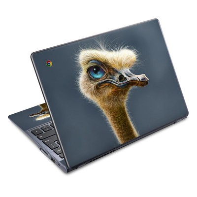 Acer Chromebook C720 Skin - Ostrich Totem