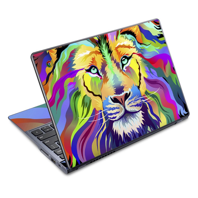 Acer Chromebook C720 Skin - King of Technicolor (Image 1)