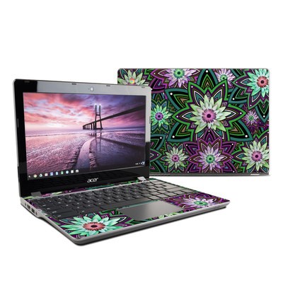 Acer Chromebook C740 Skin - Daisy Trippin
