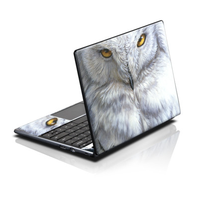 Acer AC700 ChromeBook Skin - Snowy Owl