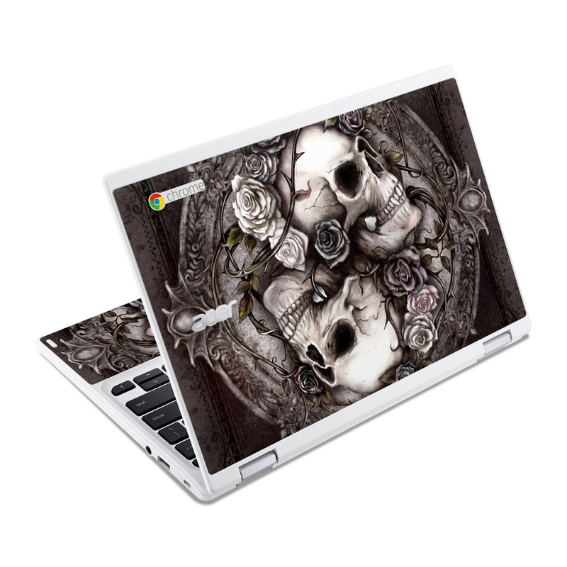 Acer Chromebook R11 Skin - Dioscuri (Image 1)