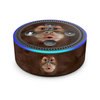 Amazon Echo Dot 2nd Gen Skin - Orangutan