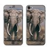 Apple iPhone 7 Skin - African Elephant