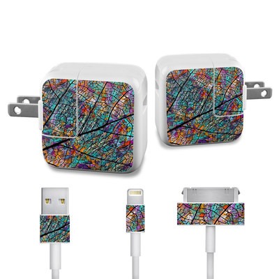 Apple iPad Charge Kit Skin - Stained Aspen