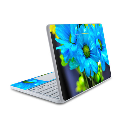 HP Chromebook 11 Skin - In Sympathy