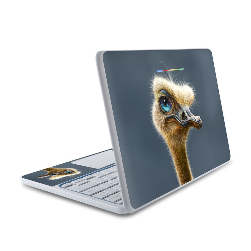 HP Chromebook 11 Skin - Ostrich Totem (Image 1)