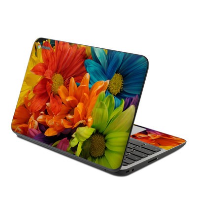 HP Chromebook 11 G4 Skin - Colours