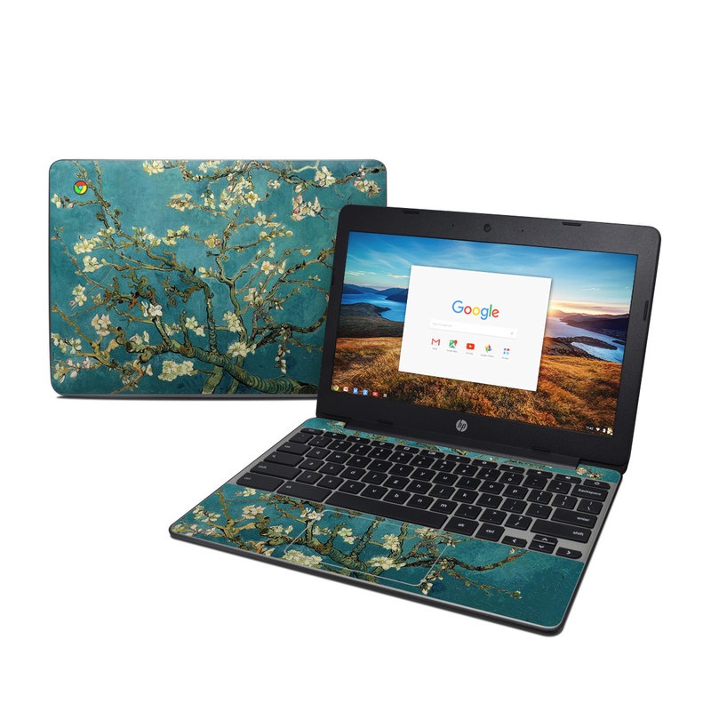 HP Chromebook 11 G5 Skin - Blossoming Almond Tree (Image 1)