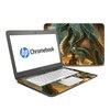 HP Chromebook 14 G4 Skin - Dragon Mage