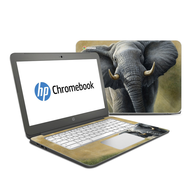 HP Chromebook 14 G4 Skin - Right of Way (Image 1)