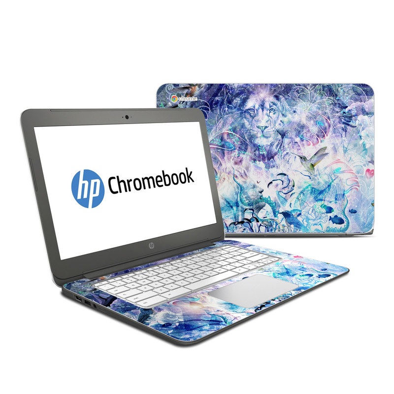 HP Chromebook 14 G4 Skin - Unity Dreams (Image 1)