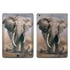 Apple iPad Air Skin - African Elephant (Image 1)