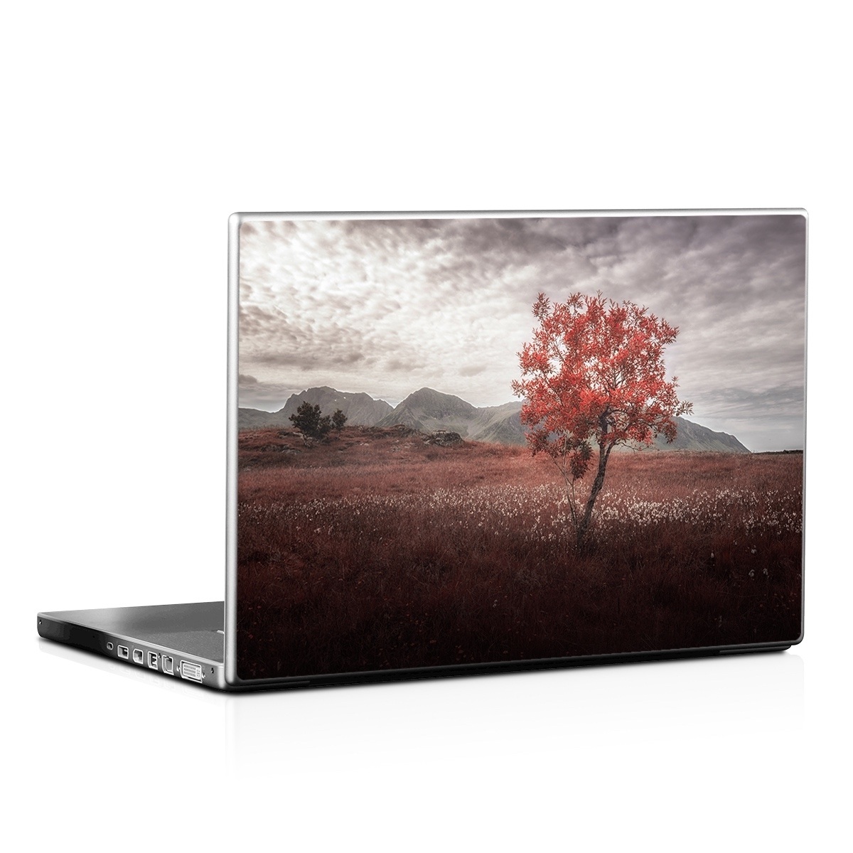 Laptop Skin - Lofoten Tree (Image 1)