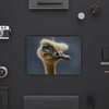 MacBook 12in Skin - Ostrich Totem (Image 5)
