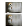 Microsoft Surface Pro 4 Skin - Barn Owl