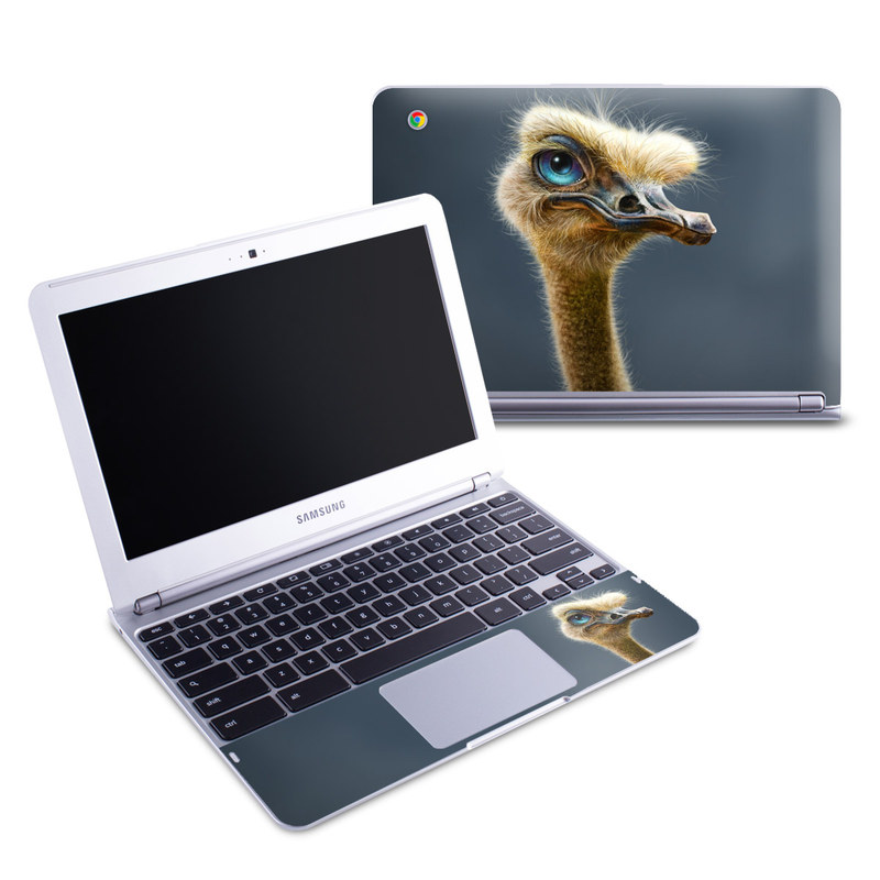 Samsung 11-6 Chromebook Skin - Ostrich Totem (Image 1)