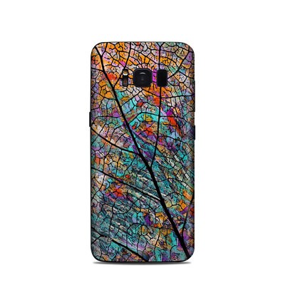 Samsung Galaxy S8 Skin - Stained Aspen